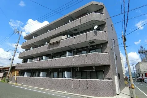 フォルトゥーナの画像