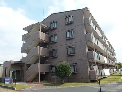 ユーフォリアの画像