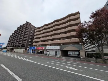 ベルリブール藤の画像