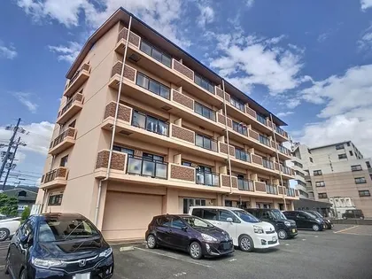 ドリーミィーの画像