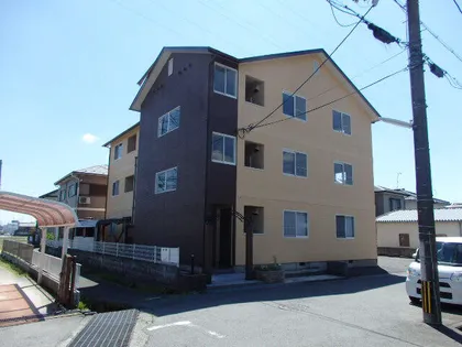 グレイオークの画像