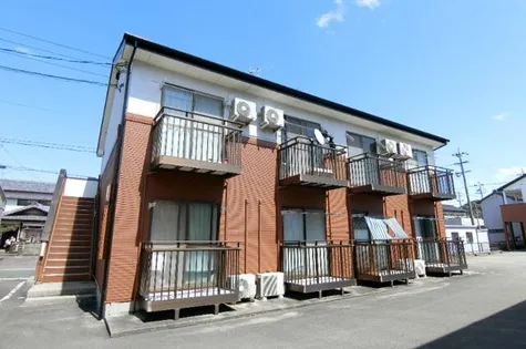 ピーシフルオサニBの画像