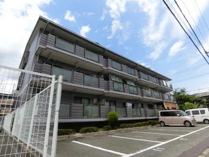 フローエンス吉田の画像