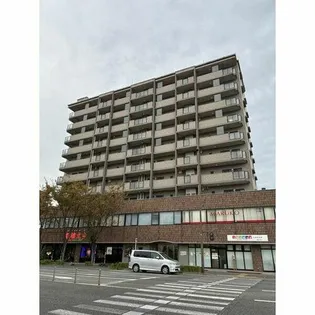 ヒルクレストアンビエンテ大橋の画像