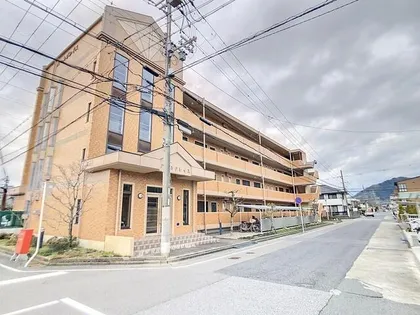 パールグレイスの画像