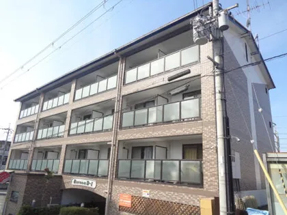 ラクーンD1の画像