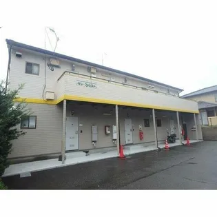 サン フォレストの画像