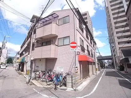 ハイム錦の画像