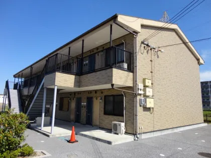 PINOの画像