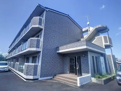 ブランコカメーリアの画像