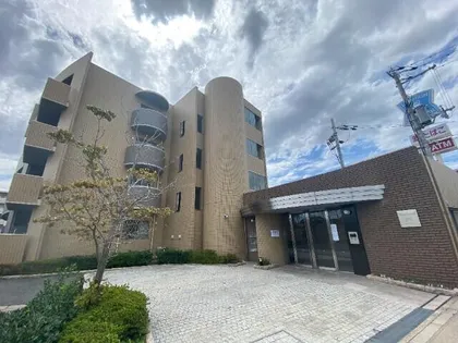 エバーグレイスの画像