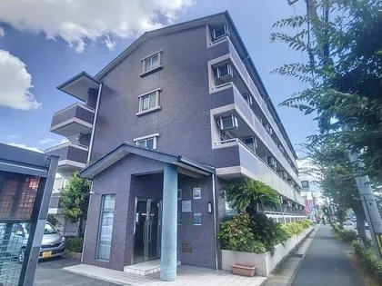 センチュリー柴田の画像