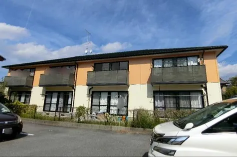 オレンジこまの画像