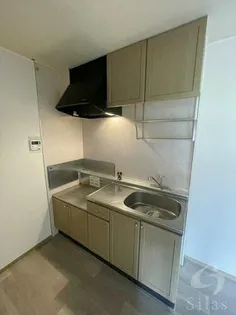 ヴィラ大覚苑【2階】のキッチン