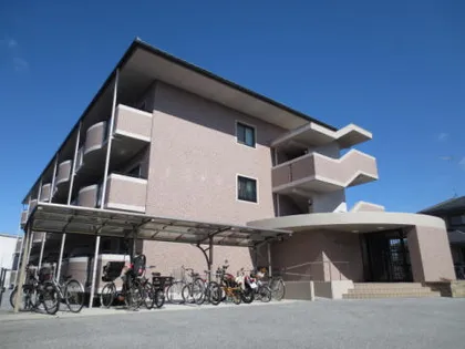 グリーンリーフの画像