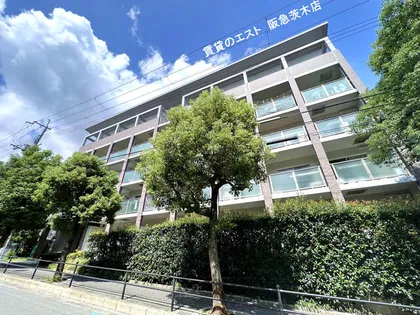 シプレスの画像