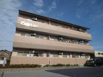 ジョイアカンサイの画像