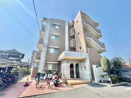 アプリコット こさかの画像