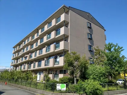 グランバリューの画像