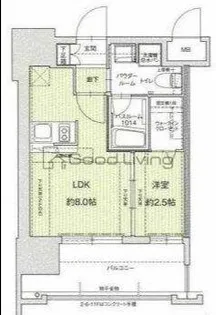 ドゥーエ赤坂(G)【11階】の間取り