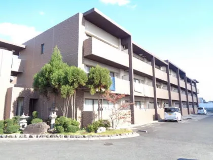 ダンデライオンの画像