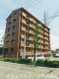 ビラ鳳笙の画像