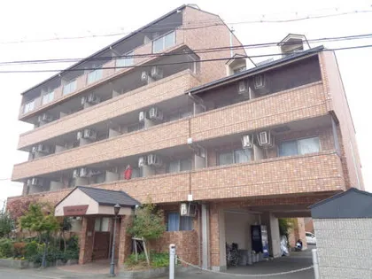 セコンダリー谷畑の画像