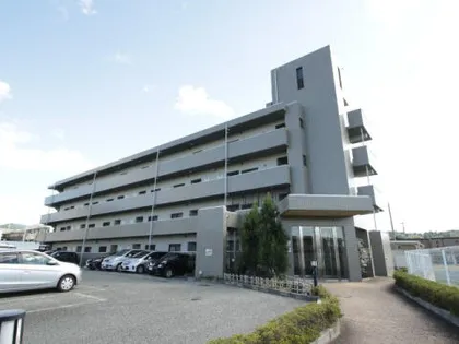 リゾうねのⅡの画像