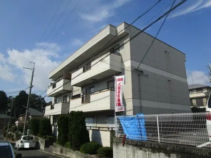 ルミエールの画像