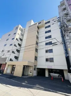 しんたくハイツ南大通Sの画像