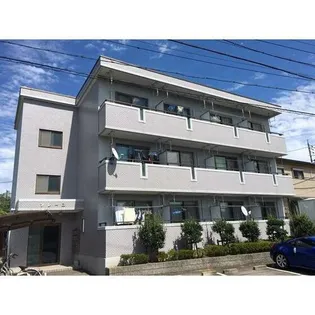 ソレーユの画像