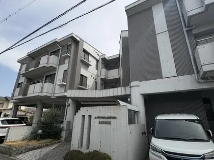 パロマ アルディアの画像