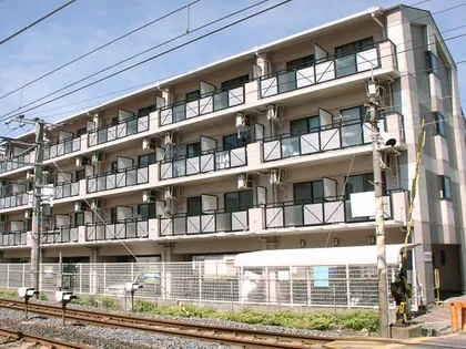 サンフェスタの画像