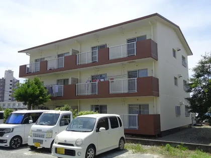 ミモザハイツ【3-1号室】の外観