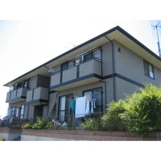 ベラセッテ永犬丸の画像