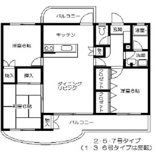 ピノ津丸【3階】の間取り