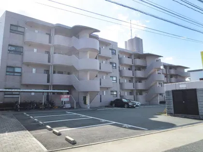 ピノ津丸の画像