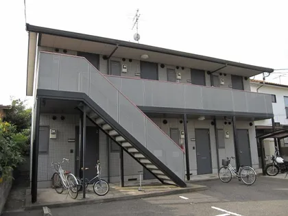 ルピナスの画像