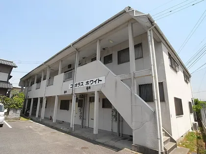 コーポラスホワイトの画像