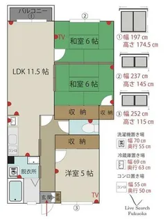 グリ-ンハイツ谷【302号室】の間取り