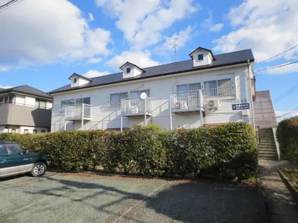 コスモスの画像