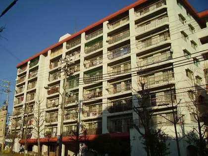 エクセル舞子の画像