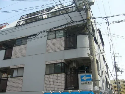 パラストミキの画像