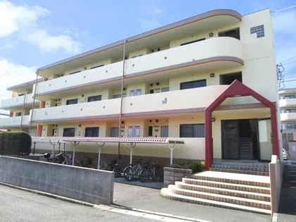 ドリームリマの画像