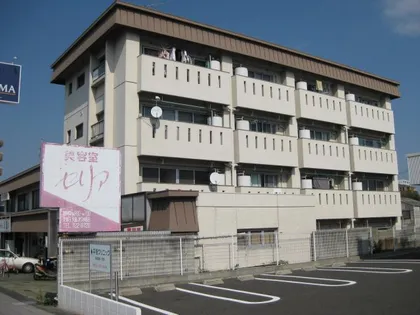 第2マルカネビルの画像