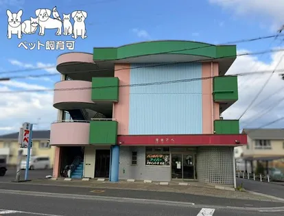 アベビルの画像