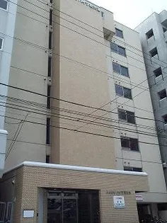 しんたくハイツ南大通S【4階】の外観