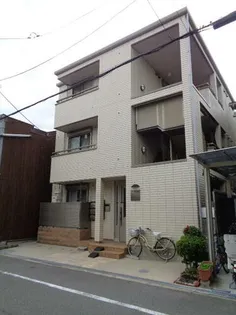 アイヴォリーの画像