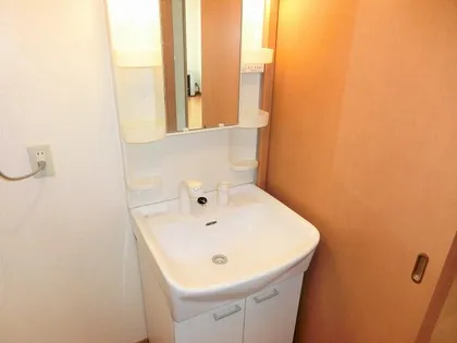 ウエルス西野【301号室】の内装