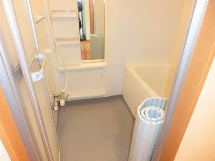 ウエルス西野【301号室】の風呂